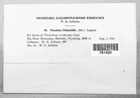 Image Associated With the Occurence